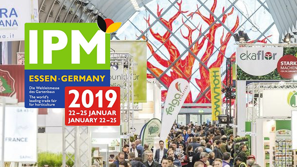 PREVIEW IPM Essen 2019