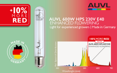 The new lamp for flowering – 600W HPS Enhanced Flowering