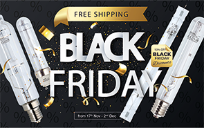 Black Friday Discounts 2022 – Free Shipping